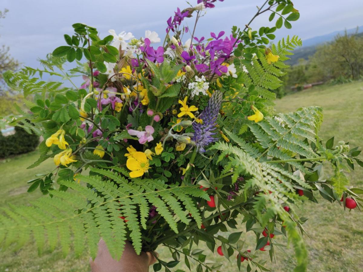 Peyrins Chambre Double En Pleine Nature "La Clairiere De L'Ange" מראה חיצוני תמונה