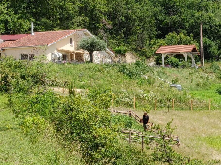 Peyrins Chambre Double En Pleine Nature "La Clairiere De L'Ange" מראה חיצוני תמונה